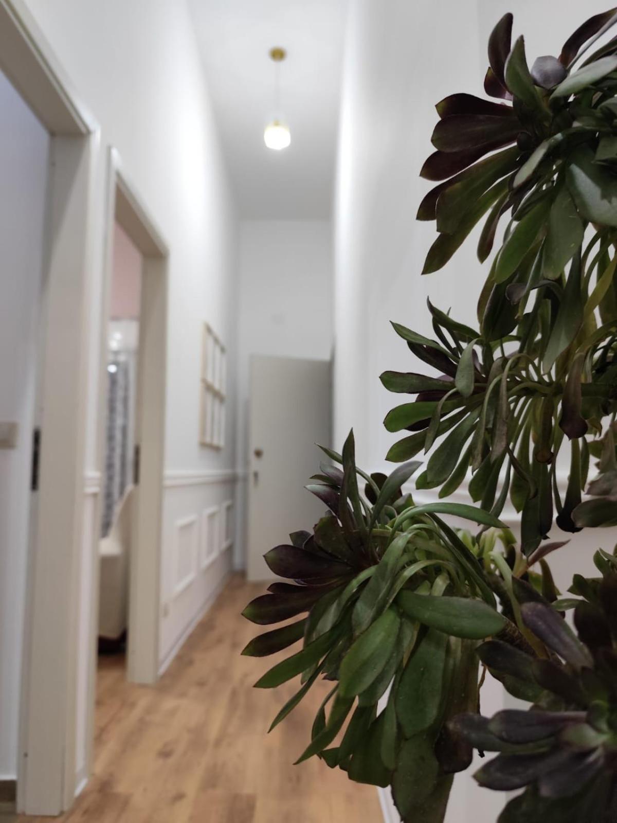 Appartement Casa Belvedere *