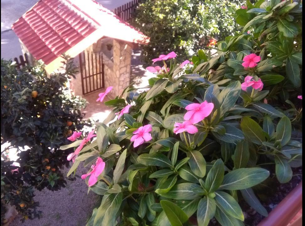 Apartment Casa Belvedere *